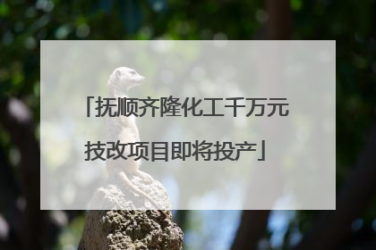抚顺齐隆化工千万元技改项目即将投产