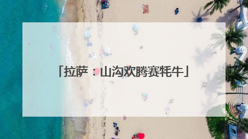 拉萨：山沟欢腾赛牦牛