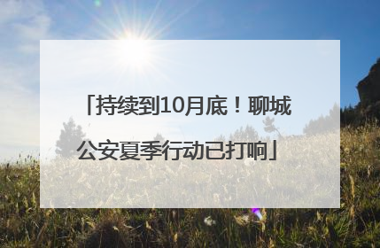 持续到10月底！聊城公安夏季行动已打响