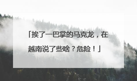 挨了一巴掌的马克龙，在越南说了些啥？危险！