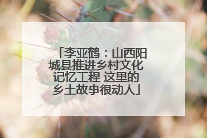 李亚鹤：山西阳城县推进乡村文化记忆工程 这里的乡土故事很动人