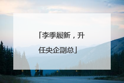 李季履新，升任央企副总
