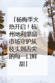 杨梅季火热开启！杭州地利果品市场守护从枝头到舌尖的每一口鲜甜