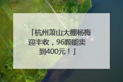 杭州萧山大棚杨梅迎丰收，96颗能卖到400元！