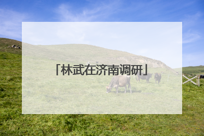 林武在济南调研