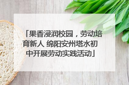 果香浸润校园，劳动培育新人 绵阳安州塔水初中开展劳动实践活动