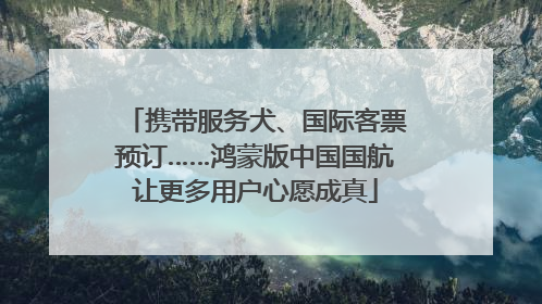 携带服务犬、国际客票预订……鸿蒙版中国国航让更多用户心愿成真