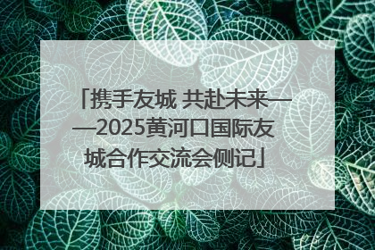携手友城 共赴未来——2025黄河口国际友城合作交流会侧记