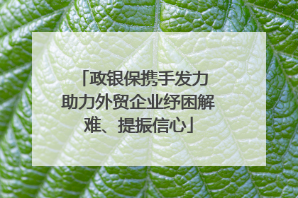 政银保携手发力 助力外贸企业纾困解难、提振信心