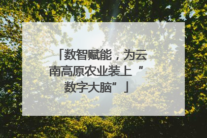 数智赋能，为云南高原农业装上“数字大脑”
