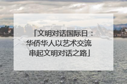 文明对话国际日：华侨华人以艺术交流串起文明对话之路