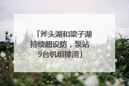 斧头湖和梁子湖持续超设防，泵站9台机组排涝