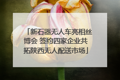 新石器无人车亮相丝博会 签约四家企业共拓陕西无人配送市场
