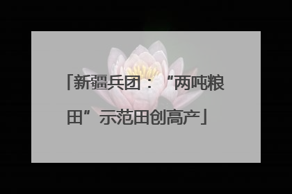 新疆兵团：“两吨粮田”示范田创高产