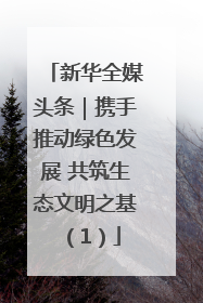 新华全媒头条｜携手推动绿色发展 共筑生态文明之基（1）