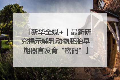 新华全媒+｜最新研究揭示哺乳动物胚胎早期器官发育“密码”