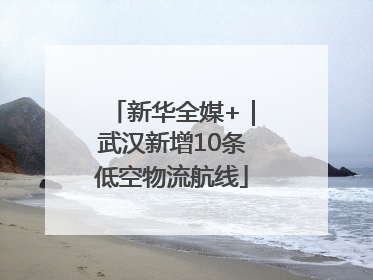 新华全媒+｜武汉新增10条低空物流航线
