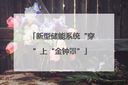 新型储能系统“穿”上“金钟罩”