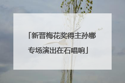 新晋梅花奖得主孙娜专场演出在石唱响