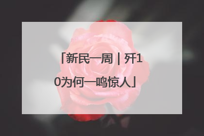新民一周｜歼10为何一鸣惊人