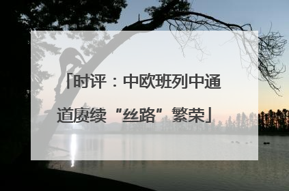 时评：中欧班列中通道赓续“丝路”繁荣