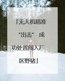 无人机精准“出击” 成功处置闯入厂区野猪