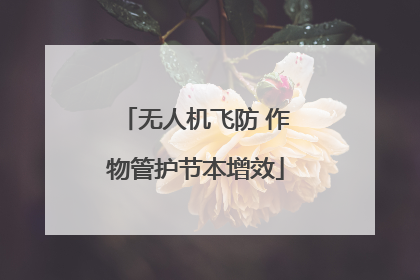 无人机飞防 作物管护节本增效