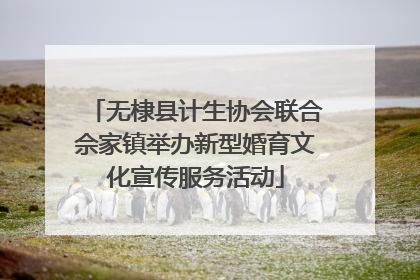 无棣县计生协会联合佘家镇举办新型婚育文化宣传服务活动