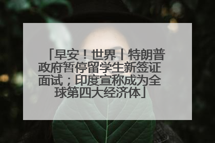 早安！世界丨特朗普政府暂停留学生新签证面试；印度宣称成为全球第四大经济体