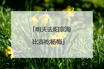 明天去阳宗海比赛吃杨梅