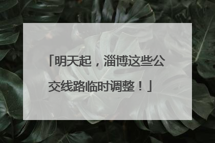 明天起，淄博这些公交线路临时调整！