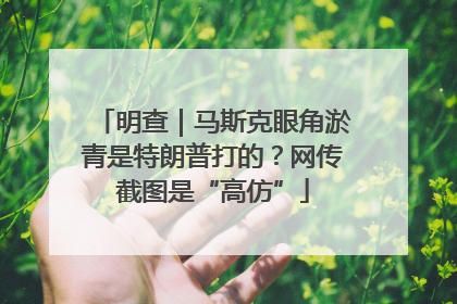 明查｜马斯克眼角淤青是特朗普打的？网传截图是“高仿”