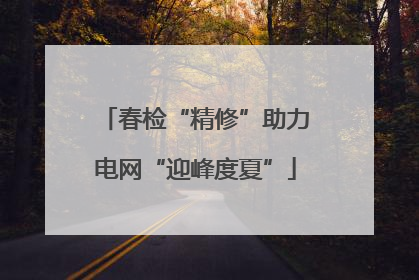 春检“精修”助力电网“迎峰度夏”