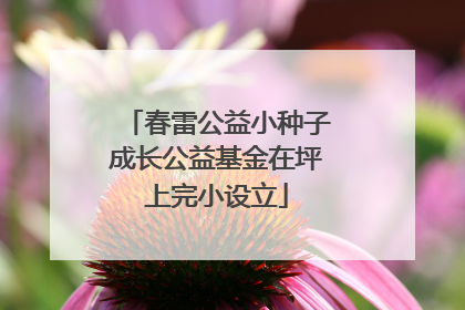 春雷公益小种子成长公益基金在坪上完小设立