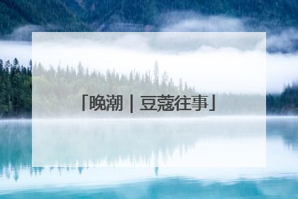 晚潮｜豆蔻往事