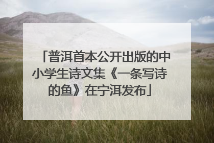 普洱首本公开出版的中小学生诗文集《一条写诗的鱼》在宁洱发布