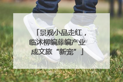 景观小品走红，临沭柳编藤编产业成文旅“新宠”