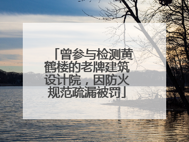 曾参与检测黄鹤楼的老牌建筑设计院，因防火规范疏漏被罚