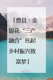 曹县：金银花“三产融合”托起乡村振兴致富梦