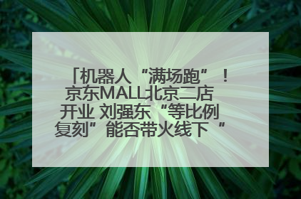 机器人“满场跑”！京东MALL北京二店开业 刘强东“等比例复刻”能否带火线下“618”？