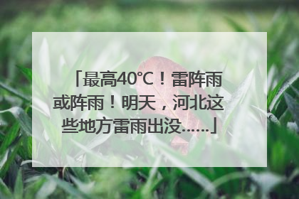 最高40℃！雷阵雨或阵雨！明天，河北这些地方雷雨出没……
