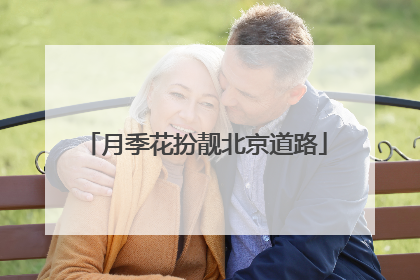 月季花扮靓北京道路