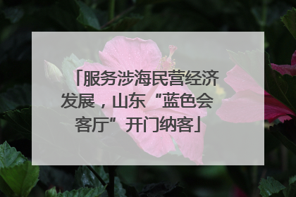 服务涉海民营经济发展，山东“蓝色会客厅”开门纳客