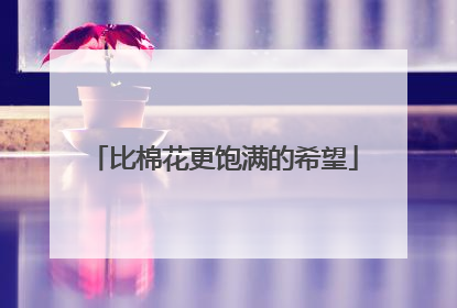 比棉花更饱满的希望