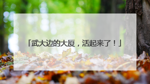 武大边的大厦，活起来了！