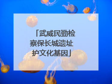 武威民勤检察保长城遗址护文化基因
