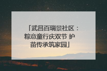 武昌百瑞景社区：粽意童行庆双节 护苗传承筑家园