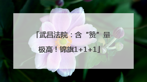 武昌法院：含“赞”量极高！锦旗1+1+1