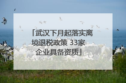 武汉下月起落实离境退税政策 33家企业具备资质
