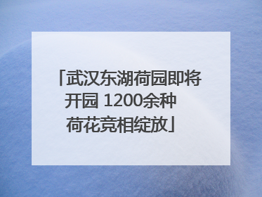 武汉东湖荷园即将开园 1200余种荷花竞相绽放